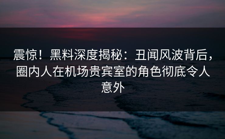 震惊！黑料深度揭秘：丑闻风波背后，圈内人在机场贵宾室的角色彻底令人意外