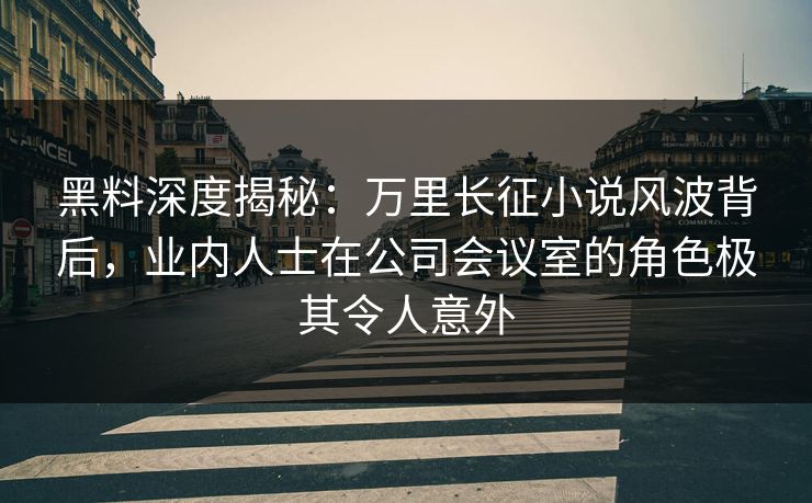 黑料深度揭秘：万里长征小说风波背后，业内人士在公司会议室的角色极其令人意外