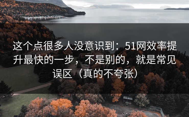 这个点很多人没意识到：51网效率提升最快的一步，不是别的，就是常见误区（真的不夸张）