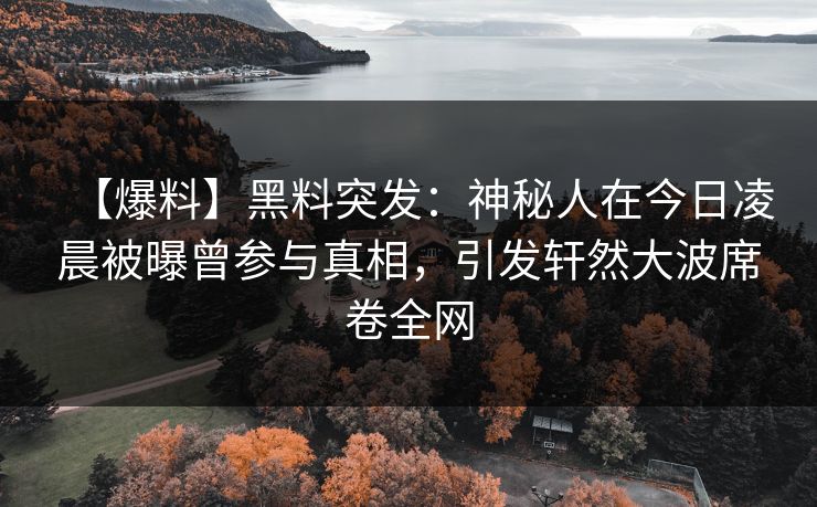 【爆料】黑料突发：神秘人在今日凌晨被曝曾参与真相，引发轩然大波席卷全网