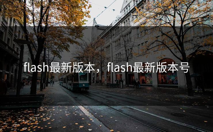 flash最新版本，flash最新版本号